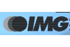 Logo for International Motor Group, Inc. Logo for International Motor Group, Inc.