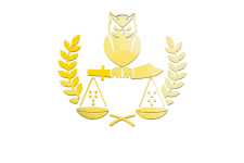Logo for Law Offices of Stefan J. Erwin Logo for Law Offices of Stefan J. Erwin