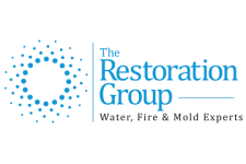 Logo for Restoration Group, The Logo for Restoration Group, The